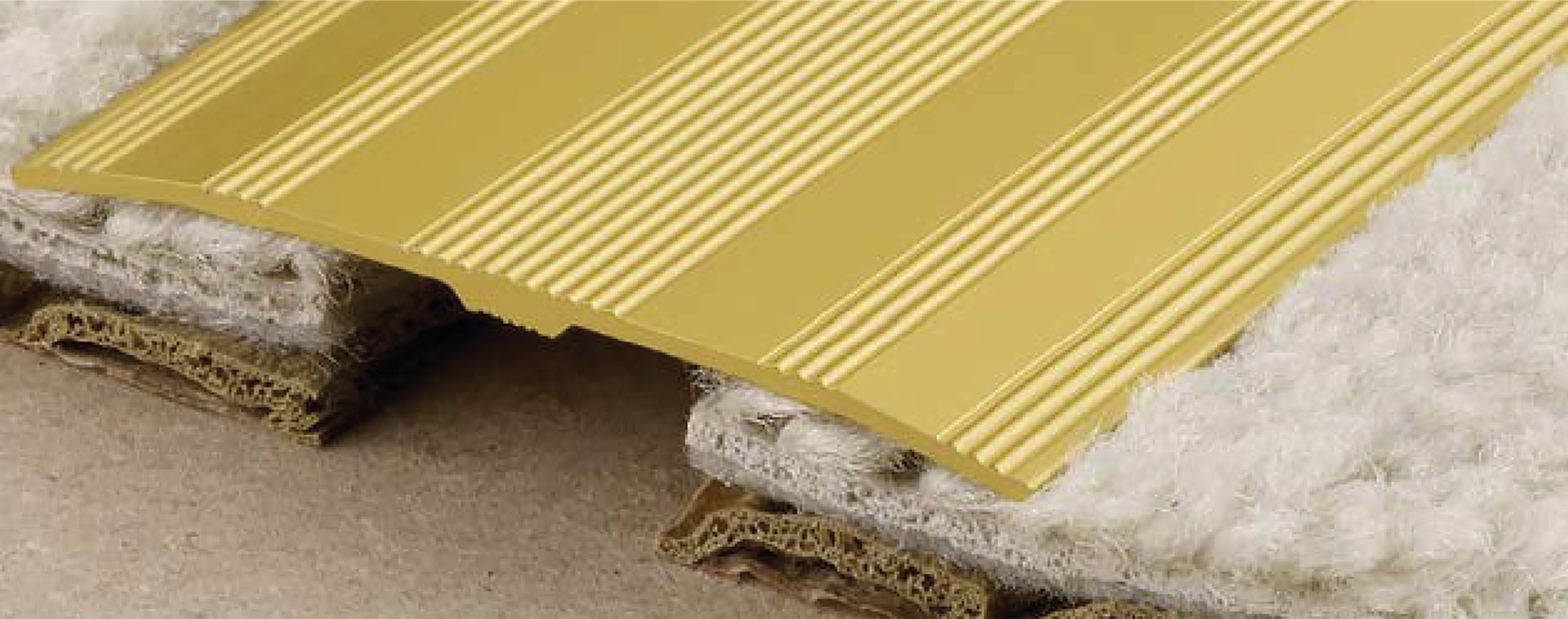 Carpet cover store strips
