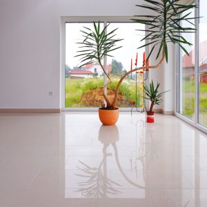 Floor Tile Polish
