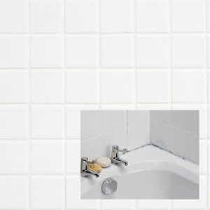 Mould Remover