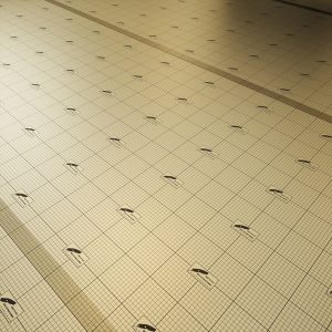 4mm Premium Underlay PLUS for Wood and Laminate Flooring - 9.6m2